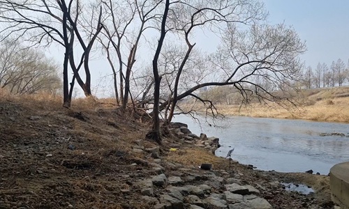 stück 1998 seiten 1073–1075